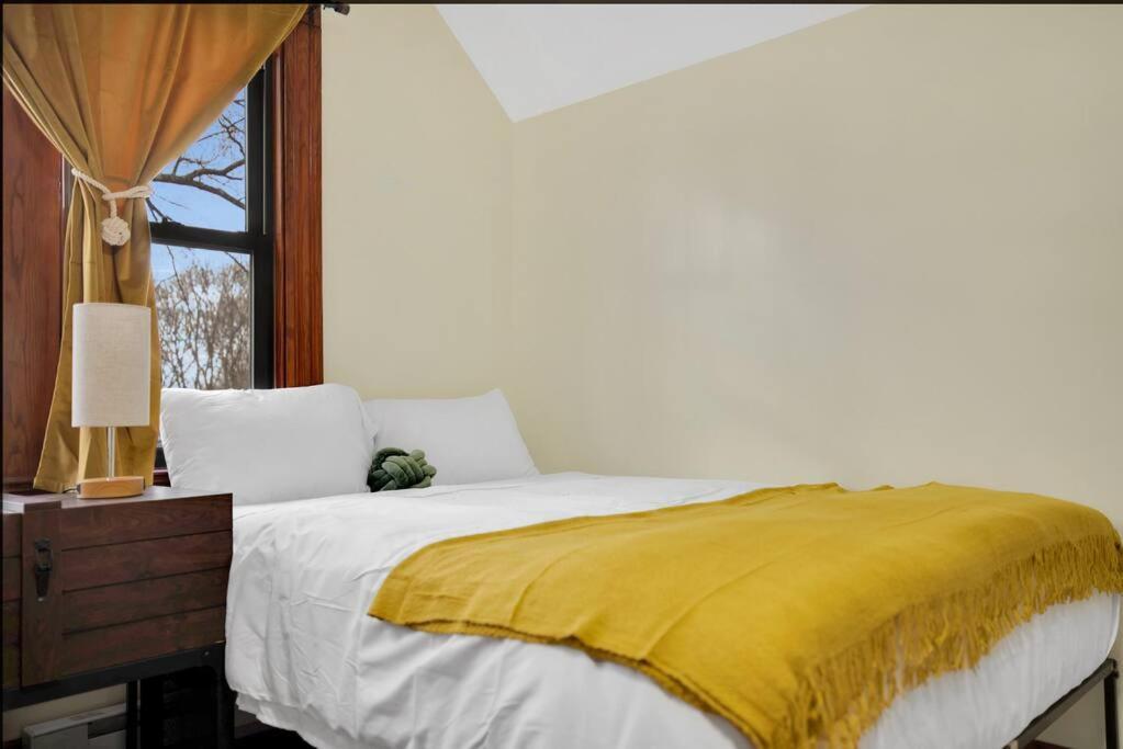 Apartment Golden Gem In Heart Of East Rock Quiet 3br Near Dt And Yale
